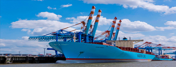 堅果進(jìn)口報關(guān)代理