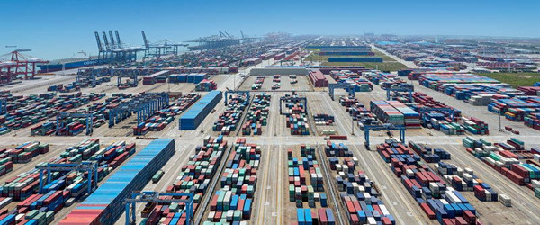 胡蘿卜進(jìn)口報關(guān)代理