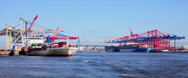 冷凍魚進(jìn)口報(bào)關(guān)