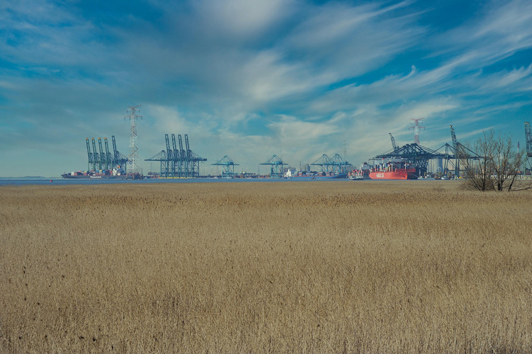 陜西一般貿(mào)易進(jìn)出口 陜西一般貿(mào)易進(jìn)出口