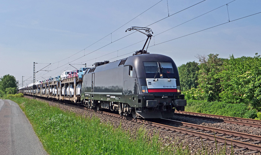 一般進(jìn)出口貨物貿(mào)易比例 一般進(jìn)出口貨物貿(mào)易比例