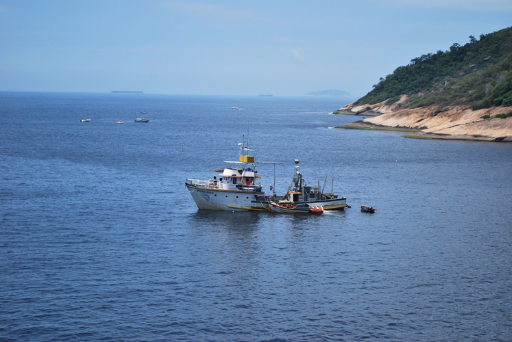 廣州一般貿易進出口服務 廣州一般貿易進出口服務