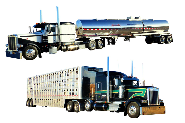 免3c認證辦理流程 免3c認證辦理流程