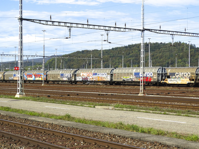 ata單證冊辦理入口 ata單證冊辦理入口