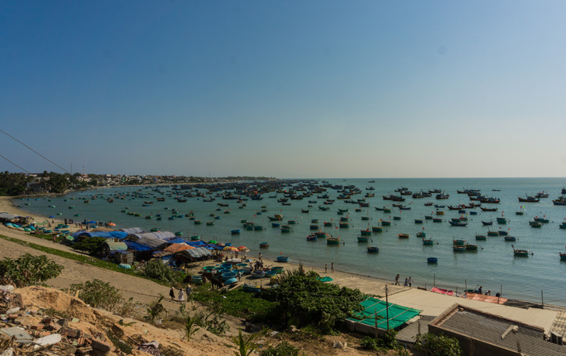 一般貿易進出口牌照 一般貿易進出口牌照