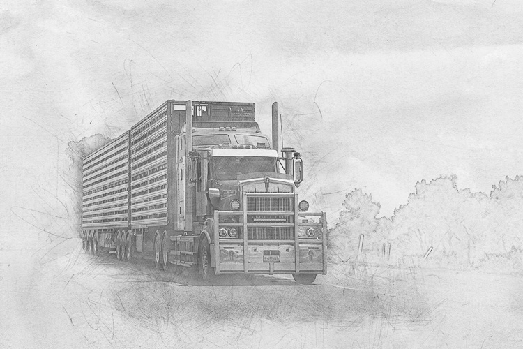 一般貿(mào)易進(jìn)出口的特征 一般貿(mào)易進(jìn)出口的特征