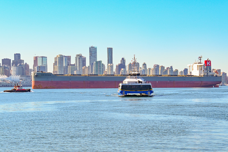 一般納稅人進(jìn)出口貿(mào)易