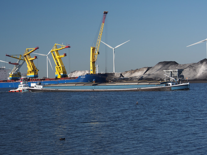 陜西一般貿(mào)易進(jìn)出口代理 陜西一般貿(mào)易進(jìn)出口代理