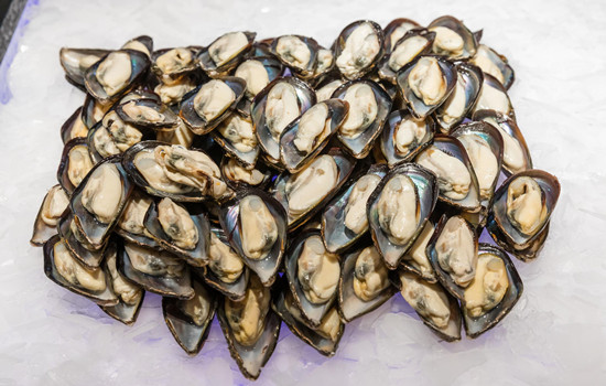 進(jìn)口海鮮報關(guān)